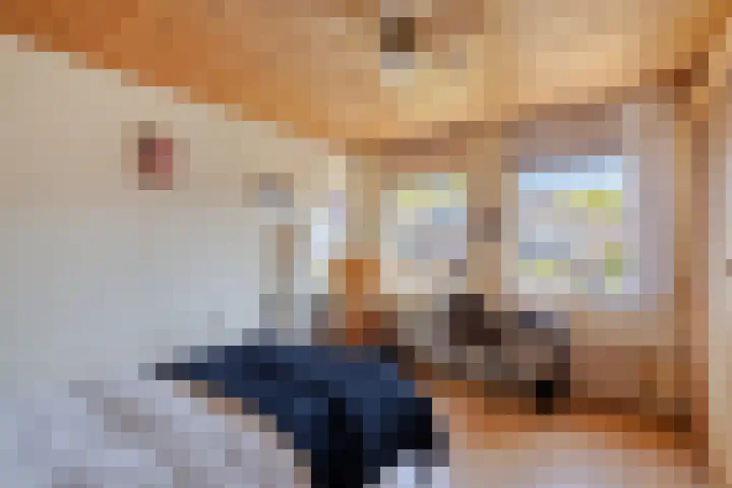 Steenbakkerwei 10 Valkenswaard thumbnail 27