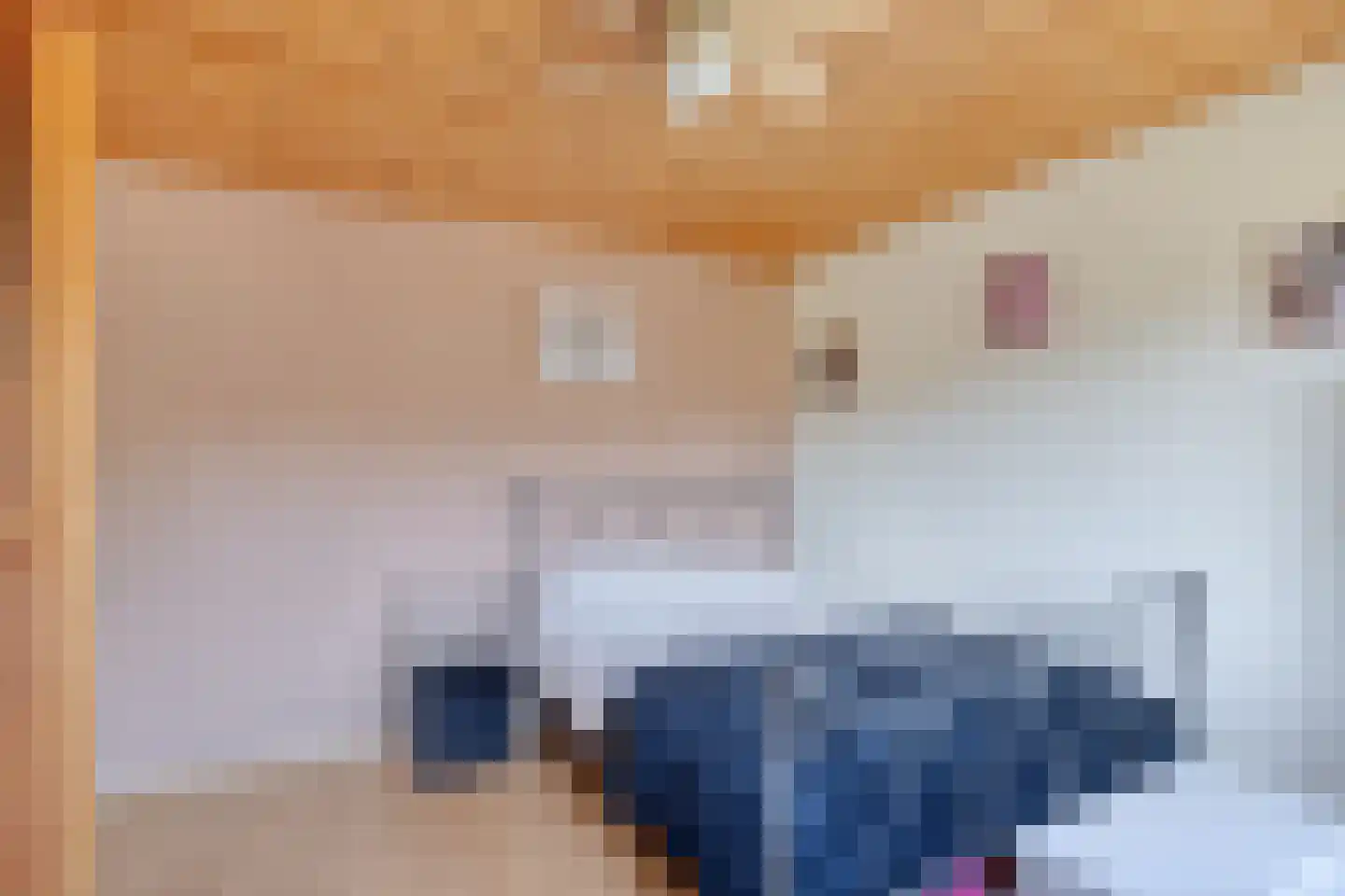 Steenbakkerwei 10 Valkenswaard thumbnail 28