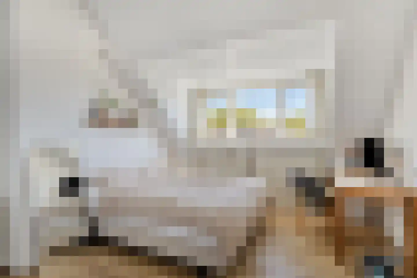 Steenbakkerwei 10 Valkenswaard thumbnail 33