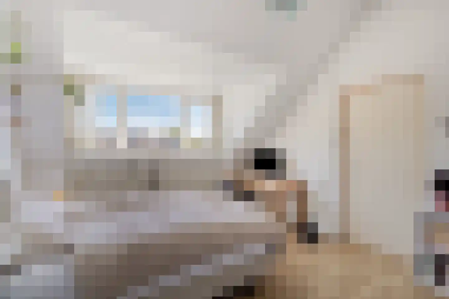 Steenbakkerwei 10 Valkenswaard thumbnail 35