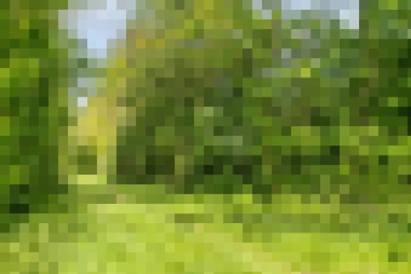 Steenbakkerwei 10 Valkenswaard thumbnail 46