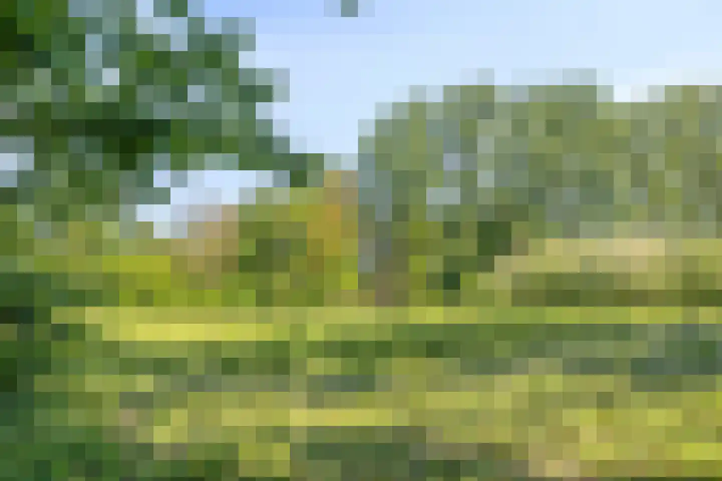 Steenbakkerwei 10 Valkenswaard thumbnail 47