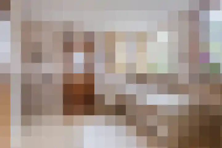 Steenbakkerwei 20 Valkenswaard thumbnail 15