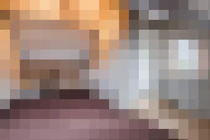 Steenbakkerwei 20 Valkenswaard thumbnail 29