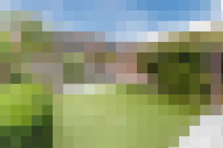 Steenbakkerwei 20 Valkenswaard thumbnail 30