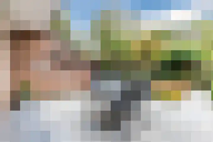 Steenbakkerwei 20 Valkenswaard thumbnail 31