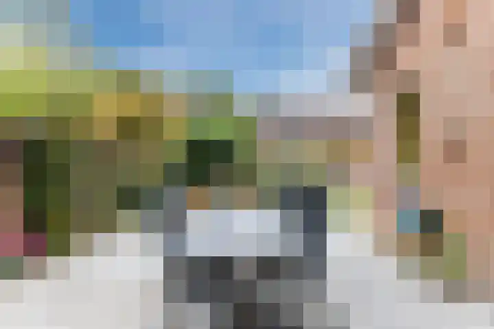 Steenbakkerwei 20 Valkenswaard thumbnail 32