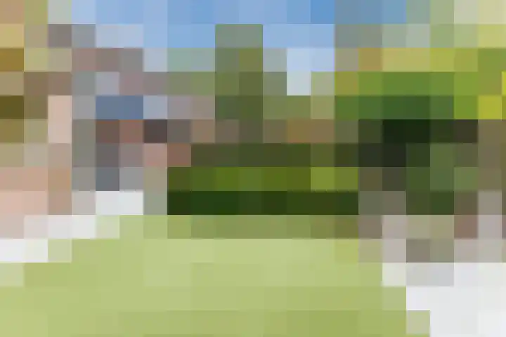 Steenbakkerwei 20 Valkenswaard thumbnail 35