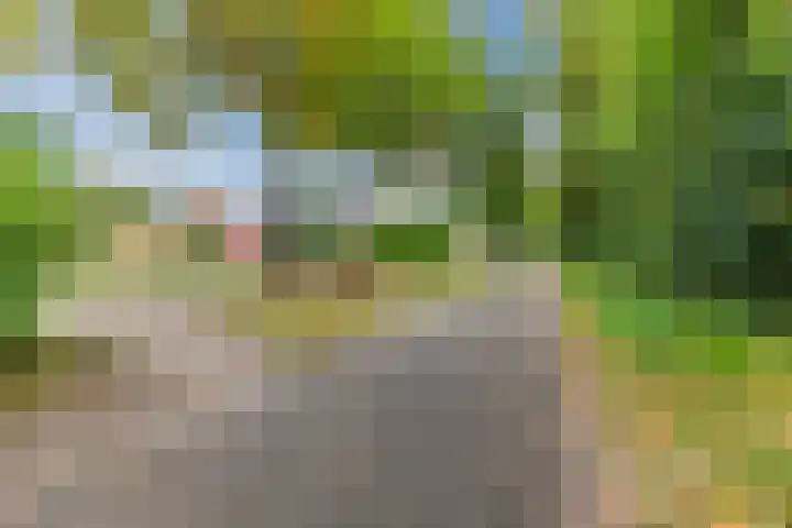Steenbakkerwei 20 Valkenswaard thumbnail 39