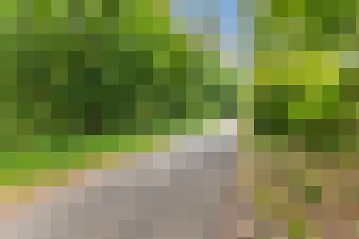 Steenbakkerwei 20 Valkenswaard thumbnail 40