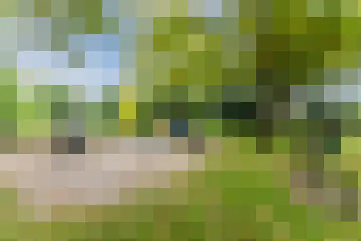 Steenbakkerwei 20 Valkenswaard thumbnail 41