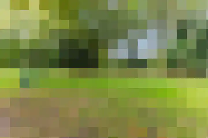Steenbakkerwei 20 Valkenswaard thumbnail 43