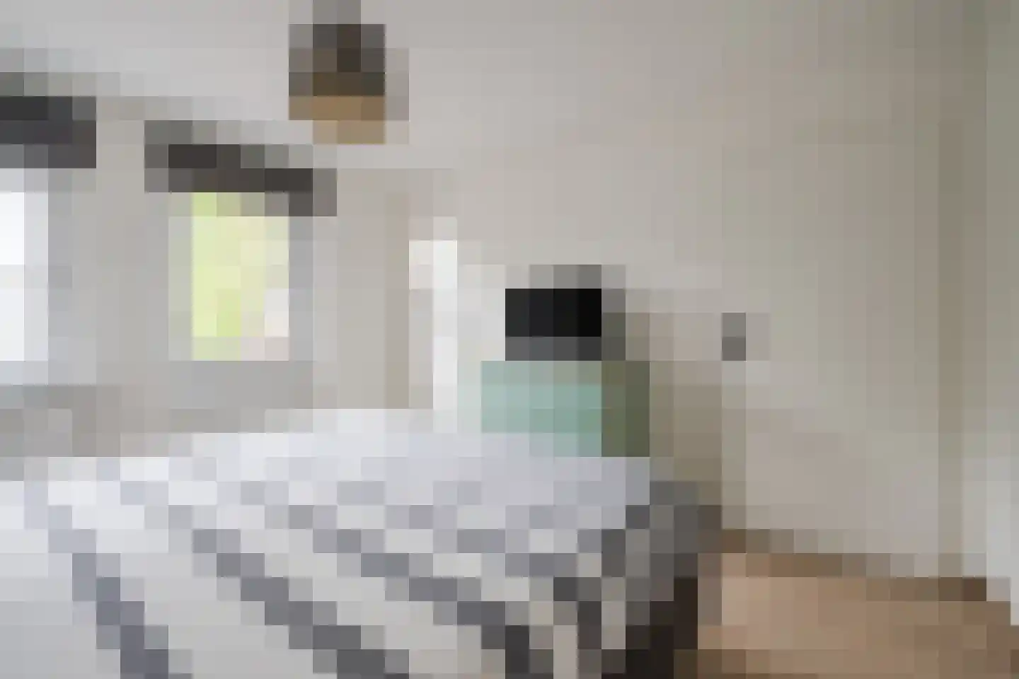Steenbakkerwei 6 Valkenswaard thumbnail 17