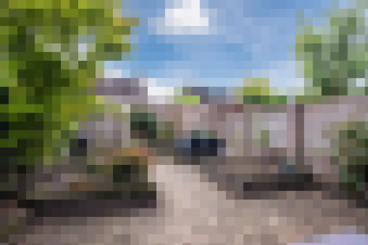 Steenbakkerwei 6 Valkenswaard thumbnail 29
