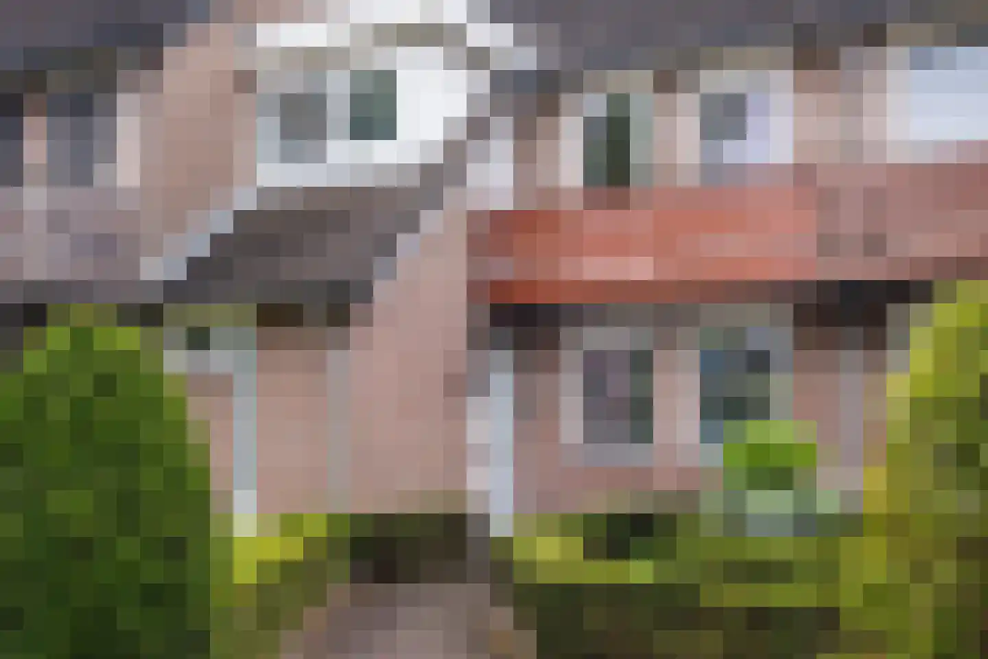 Steenbakkerwei 6 Valkenswaard thumbnail 32