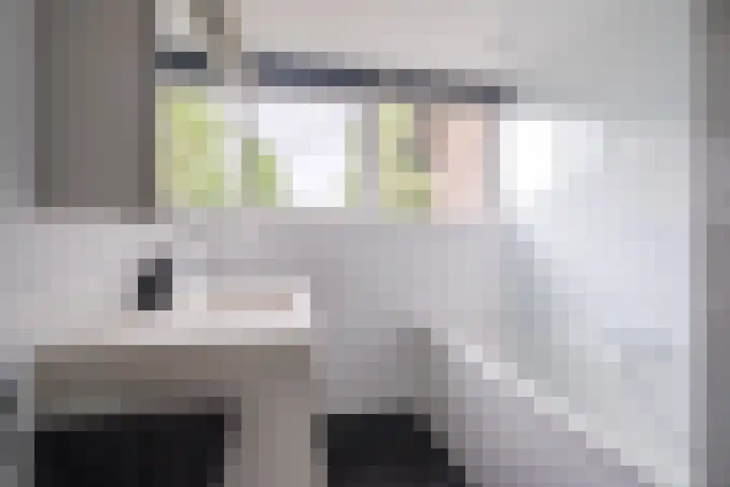 Steenbakkerwei 6 Valkenswaard thumbnail 4