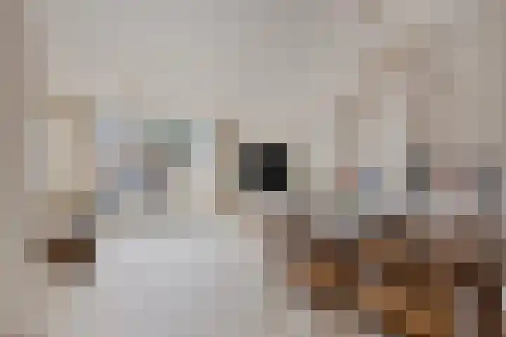 Steenbank 13 Zierikzee thumbnail 10