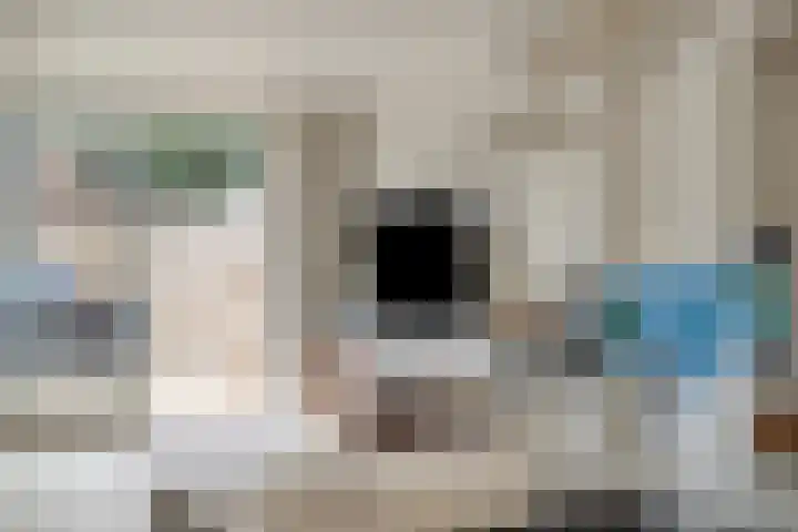 Steenbank 13 Zierikzee thumbnail 16