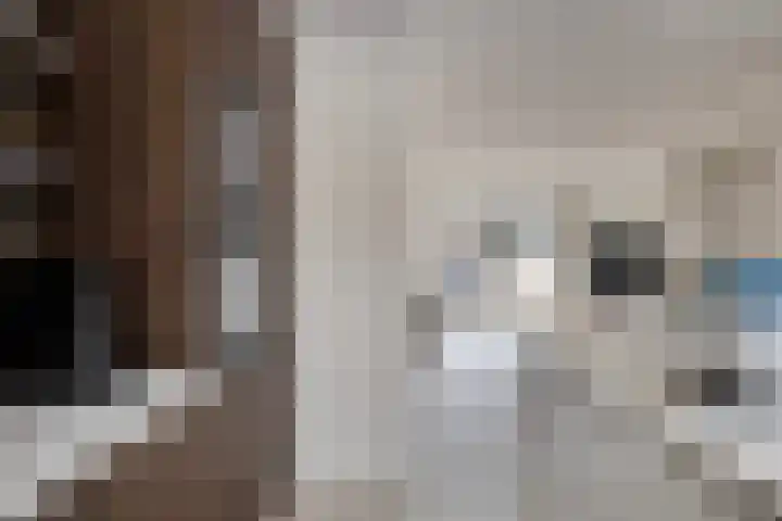 Steenbank 13 Zierikzee thumbnail 18