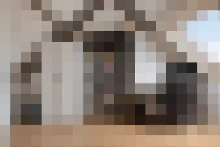 Steenbank 13 Zierikzee thumbnail 30