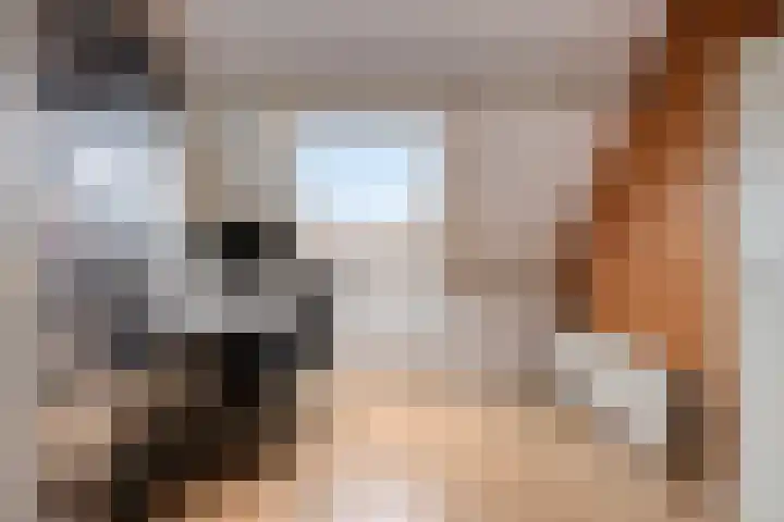 Steenbank 13 Zierikzee thumbnail 32
