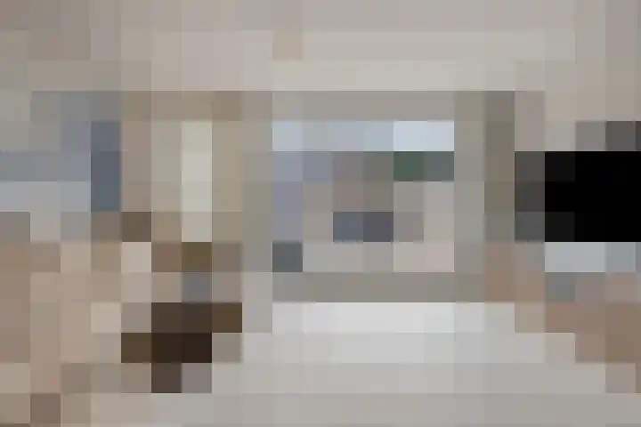 Steenbank 13 Zierikzee thumbnail 9