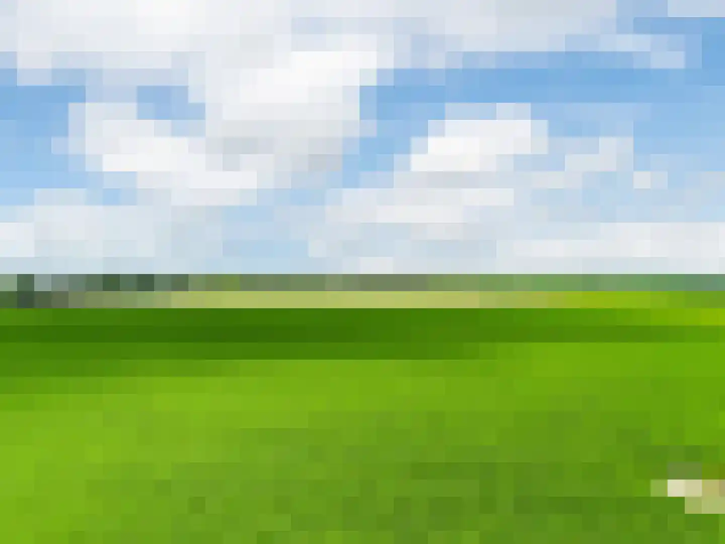 Steenbankpad 16 C Tollebeek thumbnail 17