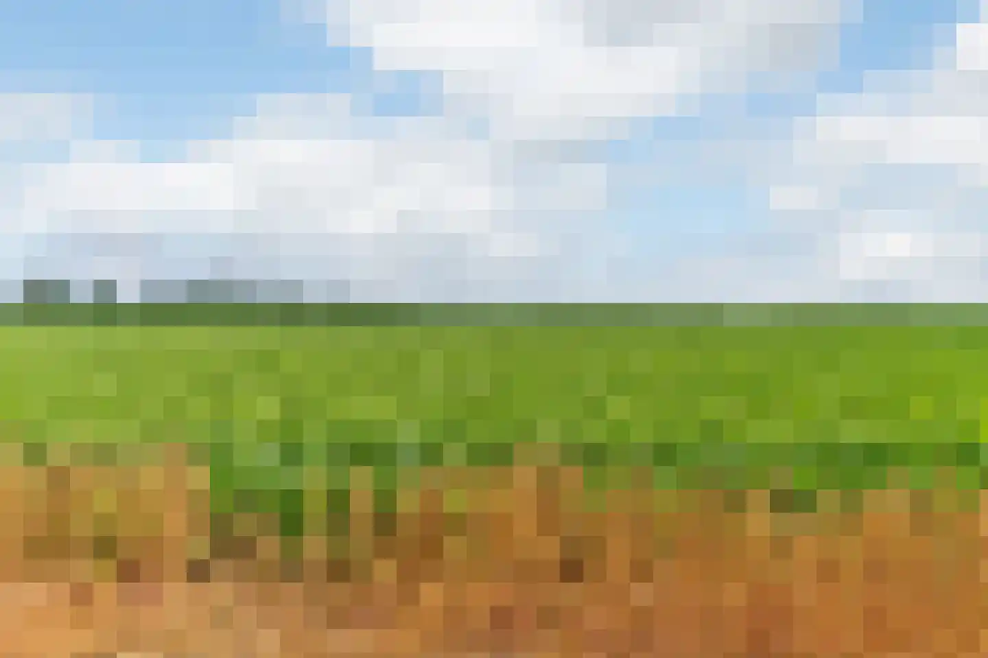 Steenbankpad 16 C Tollebeek thumbnail 18