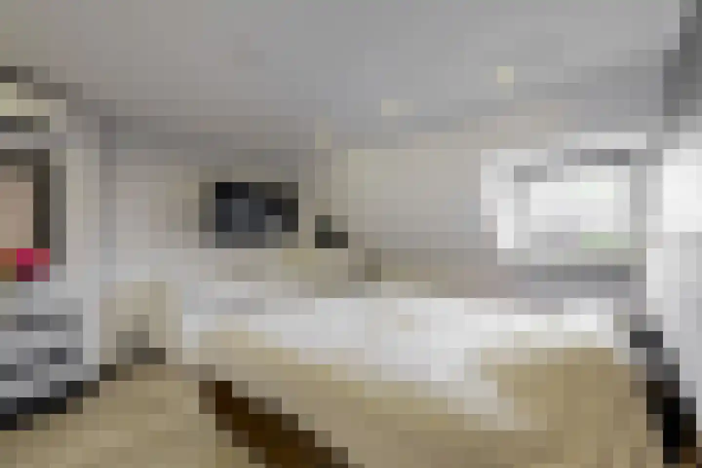 Steenbankpad 16 C Tollebeek thumbnail 8