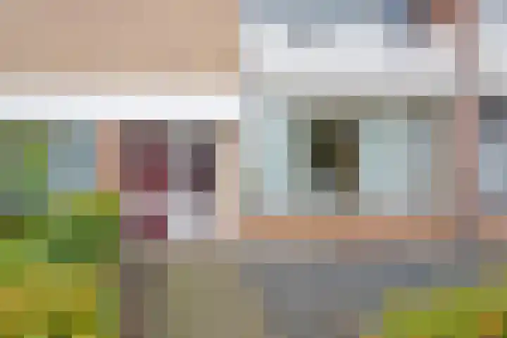 Steenbeek 12 Nijkerk thumbnail 29