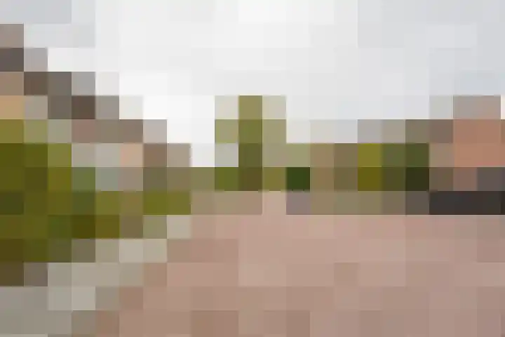 Steenbeek 12 Nijkerk thumbnail 31