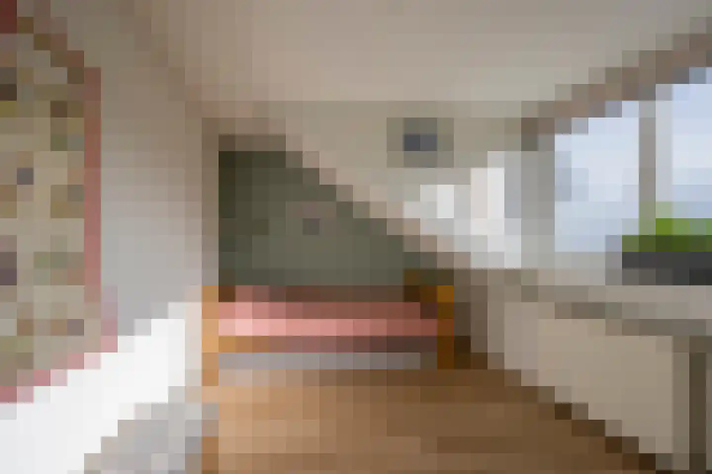 Steenbeek 4 Nijkerk thumbnail 25