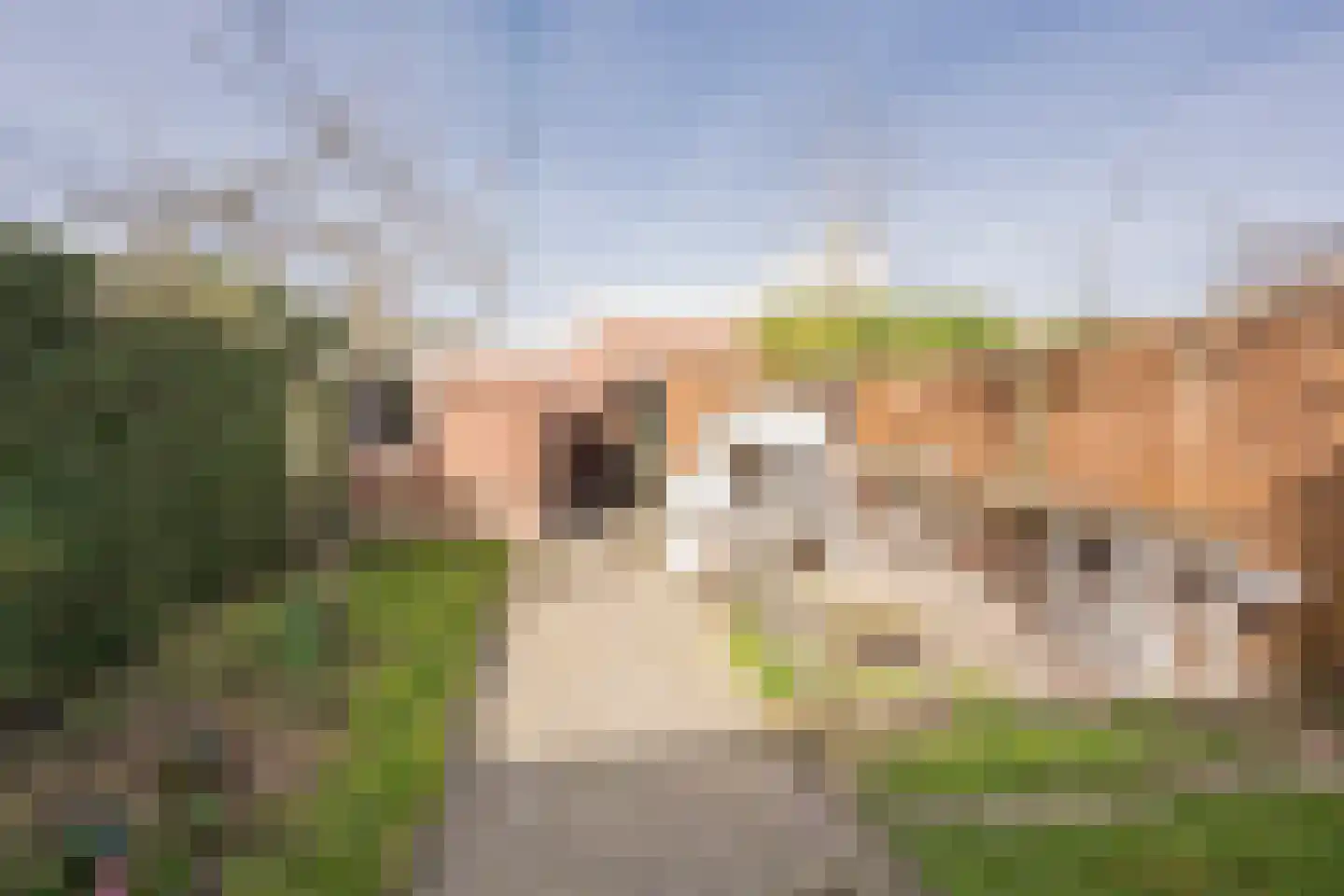 Steenbeek 4 Nijkerk thumbnail 34