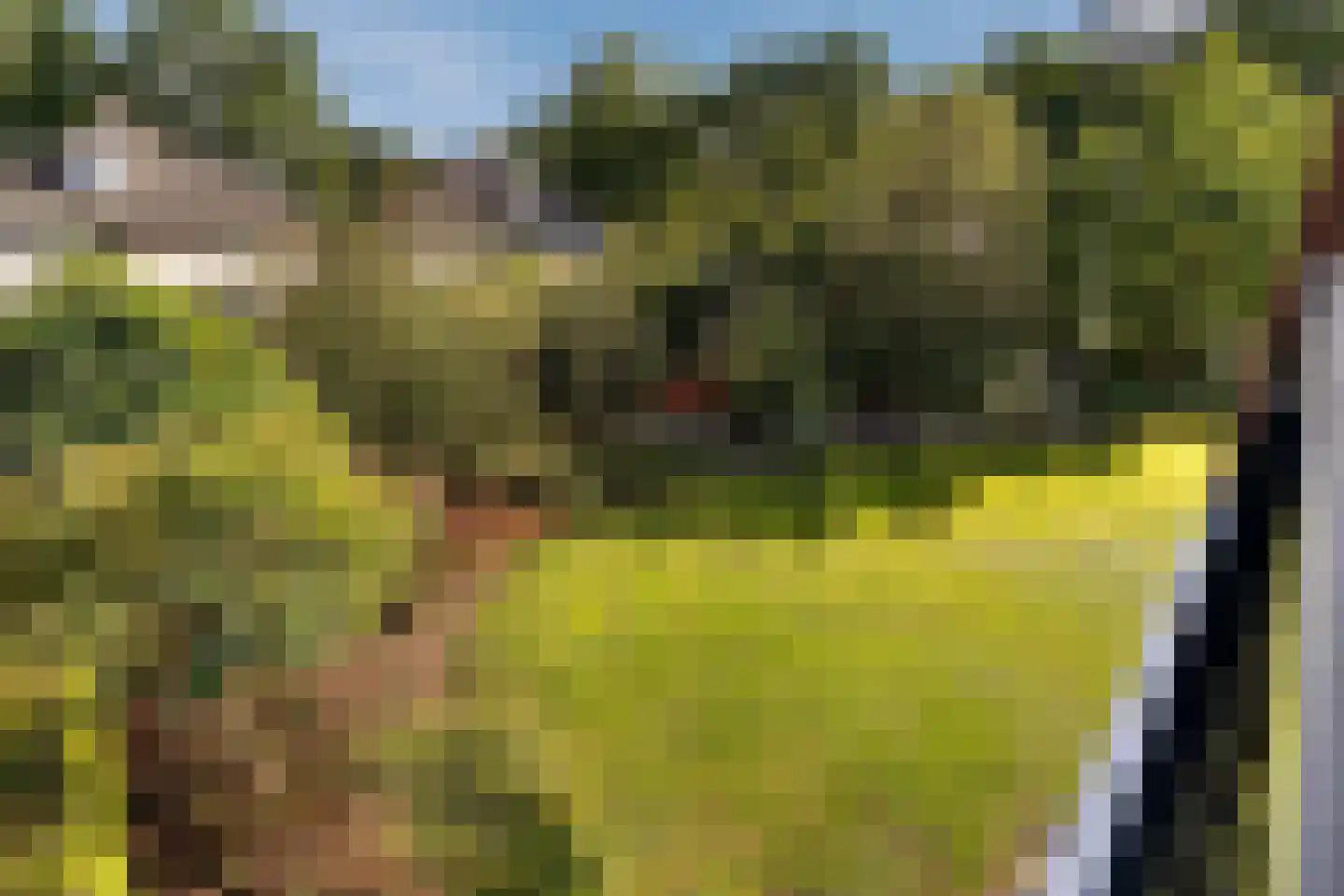 Steenbeek 58 Ugchelen thumbnail 16