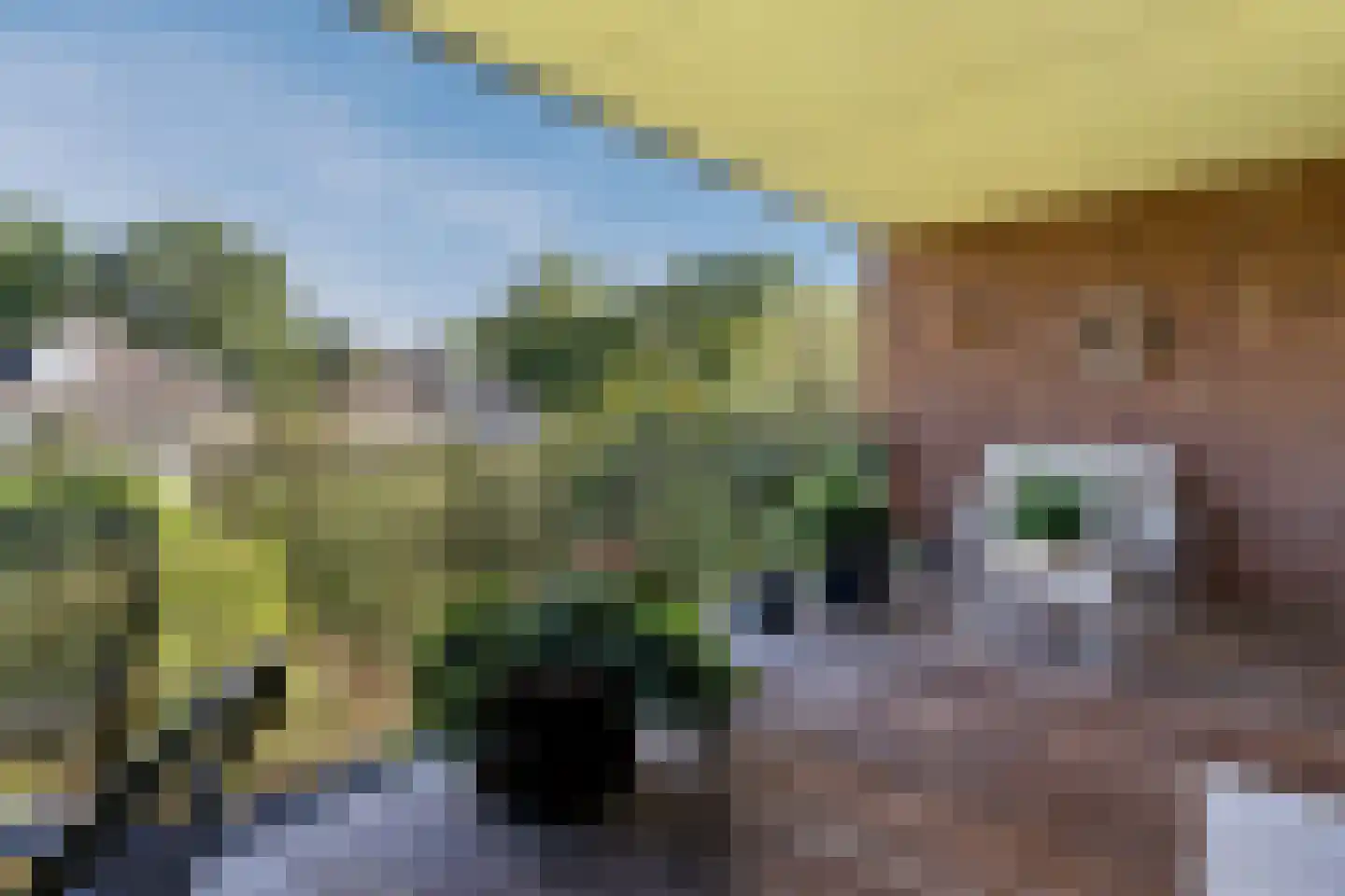 Steenbeek 58 Ugchelen thumbnail 5