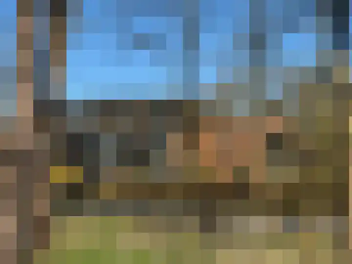 Steenbeek 66 in Ugchelen