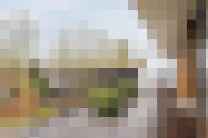Steenbeek 66 Ugchelen thumbnail 36