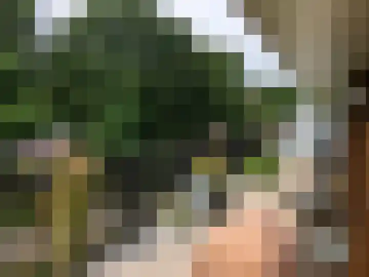 Steenbeek 66 Ugchelen thumbnail 37