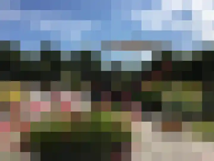 Steenbeek 66 Ugchelen thumbnail 43