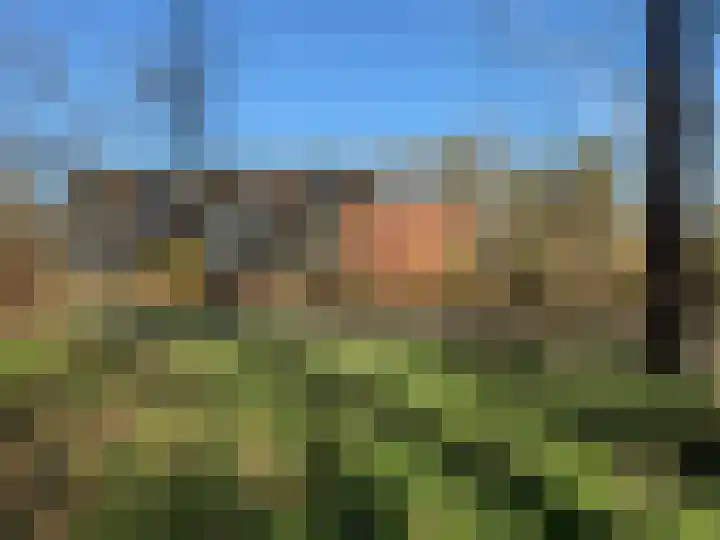 Steenbeek 66 Ugchelen thumbnail 49