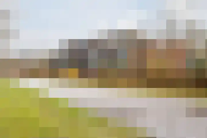 Steenbeek 66 Ugchelen thumbnail 50