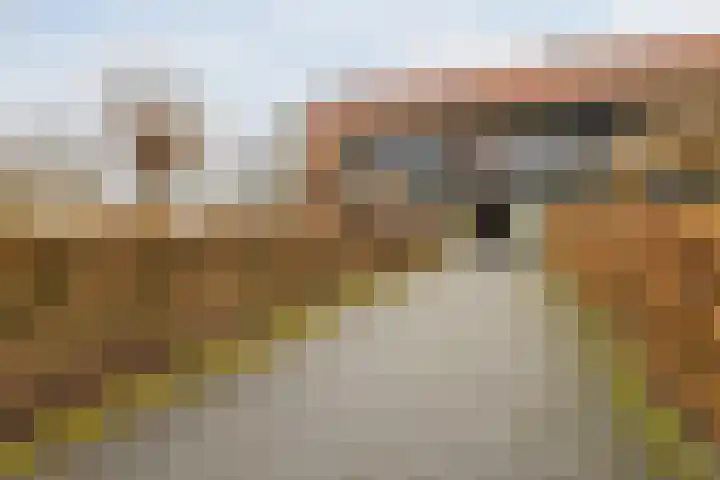 Steenbeek 66 Ugchelen thumbnail 7