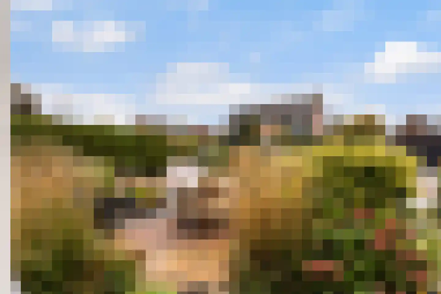 Steenbeek 74 Nijkerk thumbnail 10