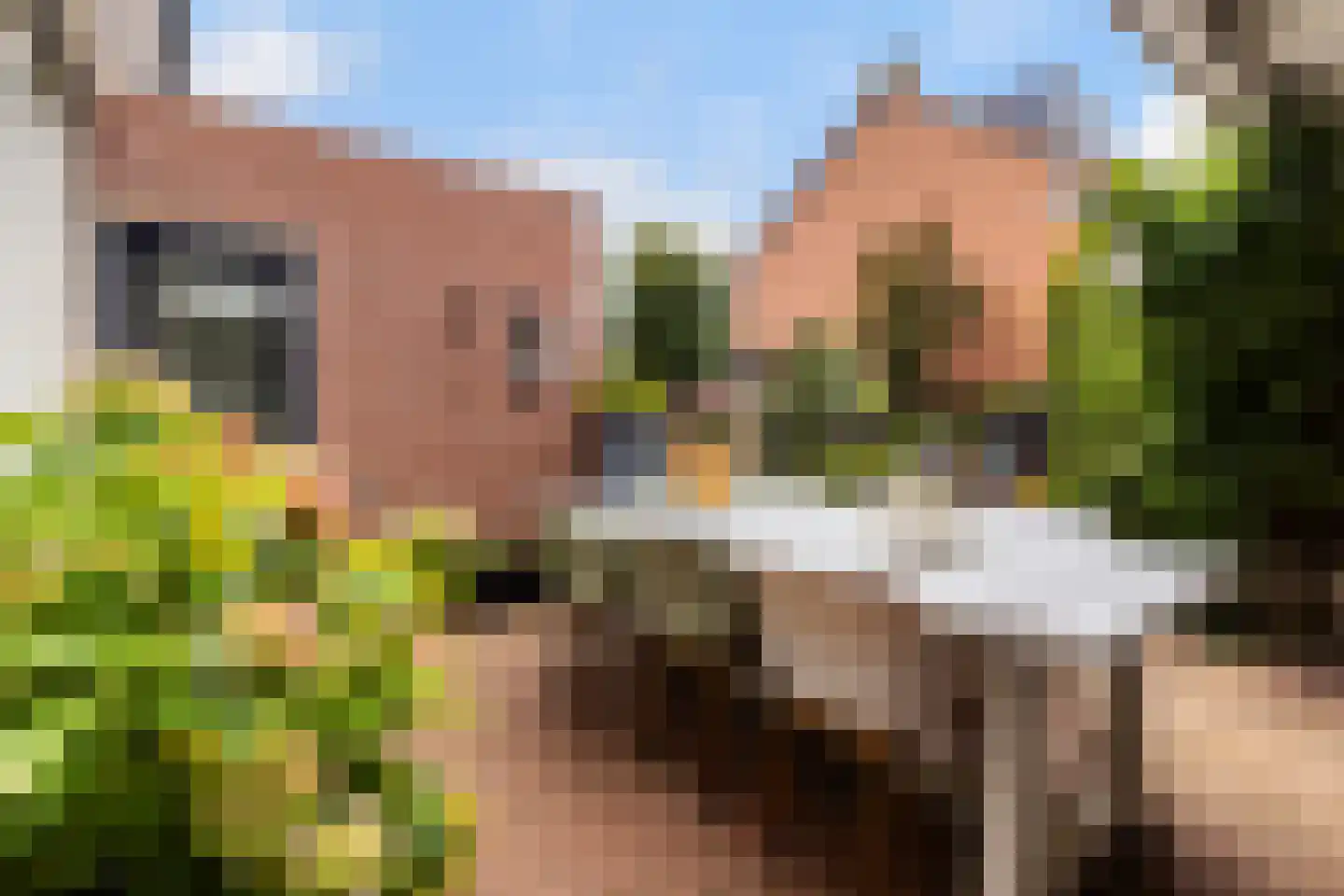 Steenbeek 74 Nijkerk thumbnail 21