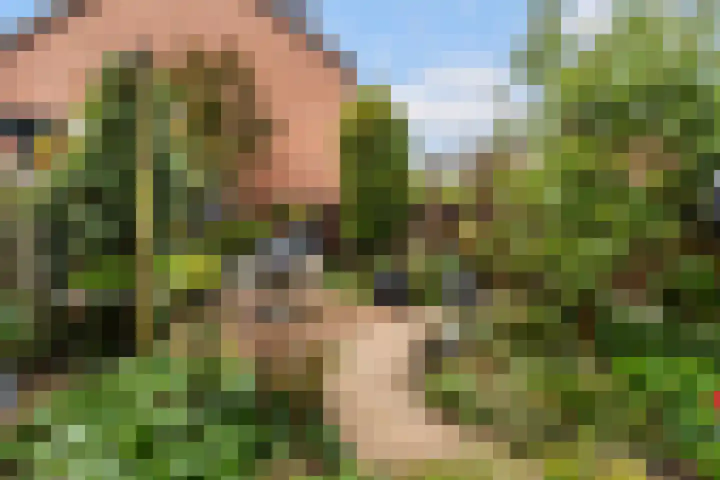 Steenbeek 74 Nijkerk thumbnail 25