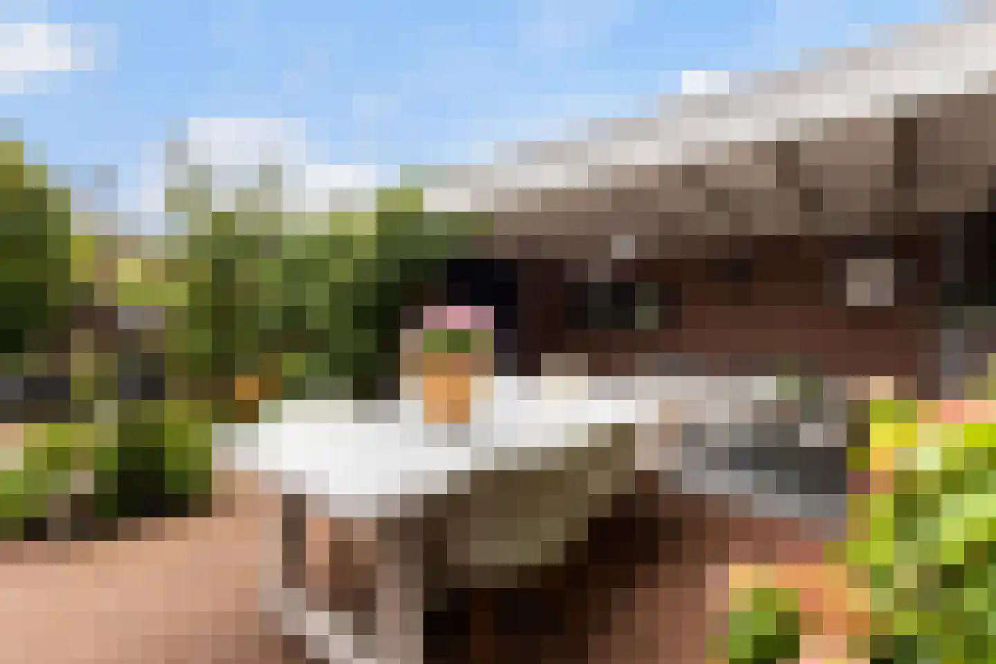 Steenbeek 74 Nijkerk thumbnail 6