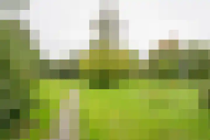Steenbeek 78 Nijkerk thumbnail 29