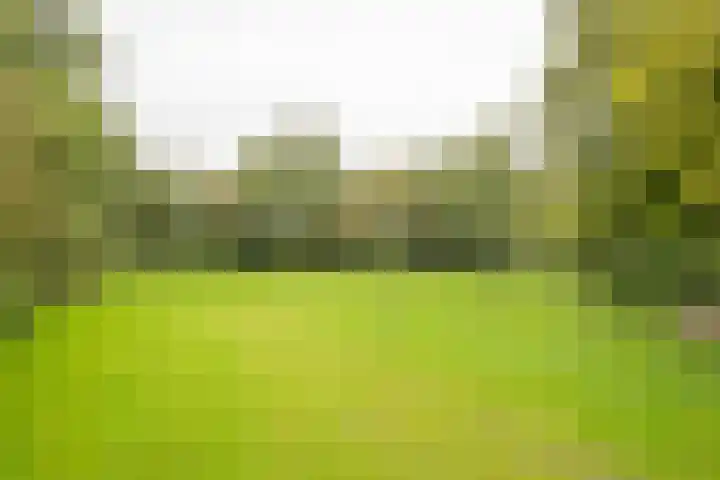 Steenbeek 78 Nijkerk thumbnail 30
