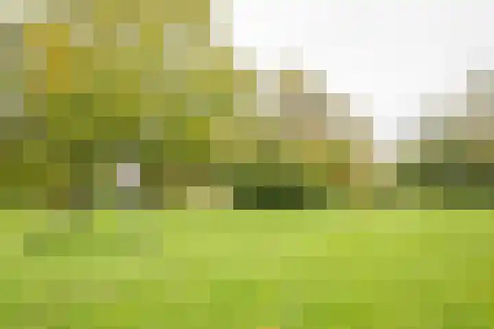 Steenbeek 78 Nijkerk thumbnail 31