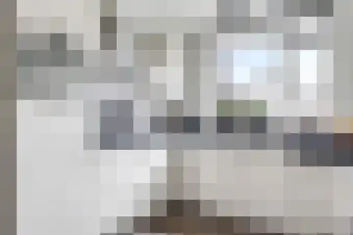 Steenbeekstraat 30 Zetten thumbnail 23